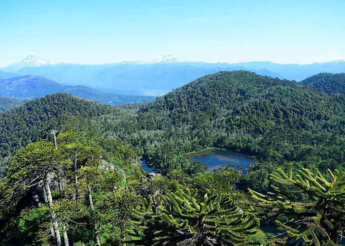 Cabana Caburgua Hermosa Vista Al Volcan, Senderos Del Bosque