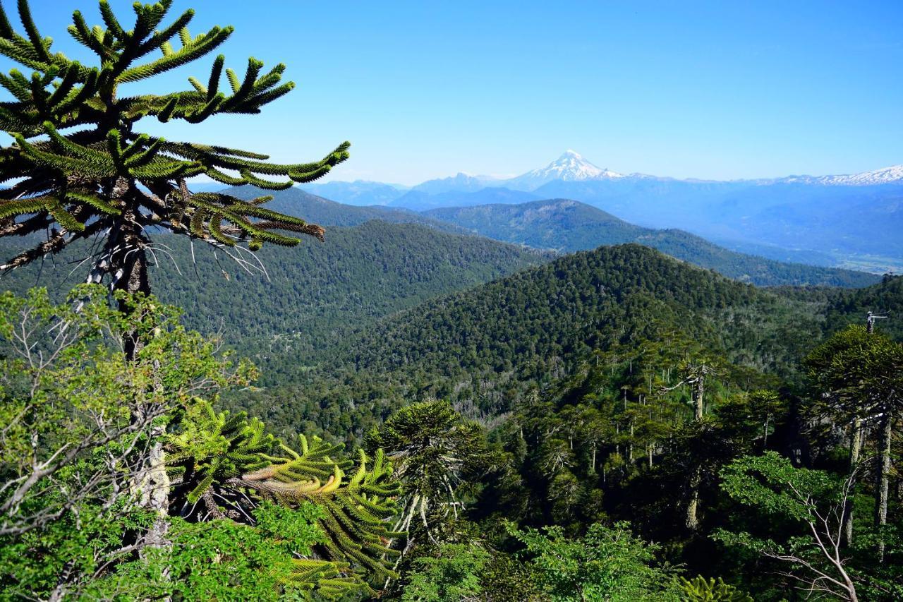 Caburgua Hermosa Vista Al Volcán, Senderos Del Bosque * Pucón